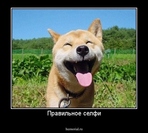 Правильное селфи
