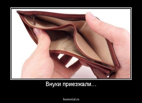 Внуки приезжали...