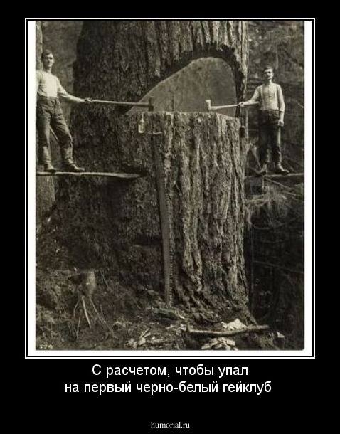 С расчетом, чтобы упал на первый черно-белый гейклуб