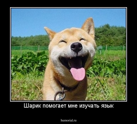 Шарик помогает мне изучать язык