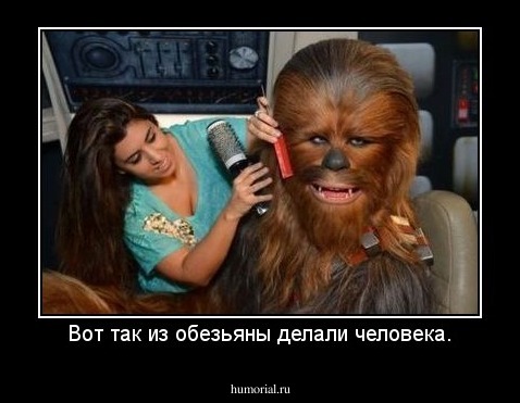 Вот так из обезьяны делали человека.