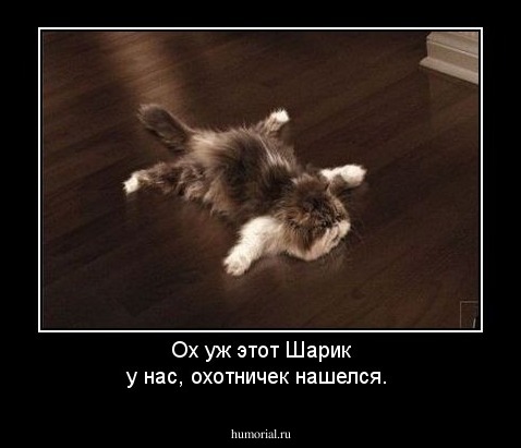 Ох уж этот Шарик у нас, охотничек нашелся.