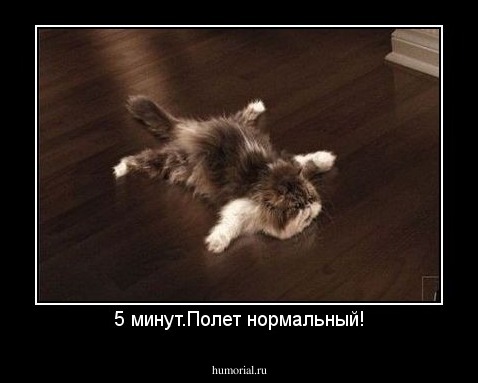 5 минут.Полет нормальный!