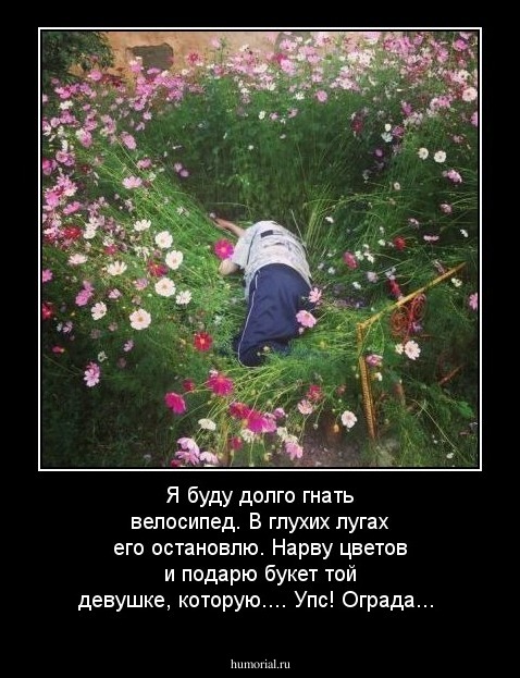 Я буду долго гнать велосипед. В глухих лугах его остановлю. Нарву цветов и подарю букет той девушке, которую.... Упс! Ограда...