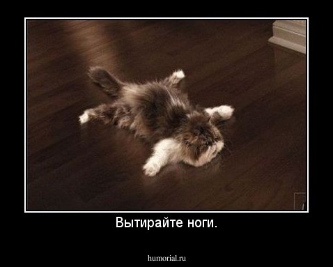 Вытирайте ноги.