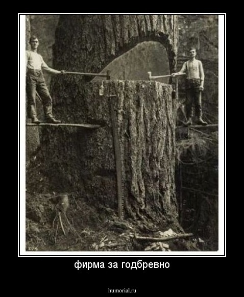 фирма за годбревно
