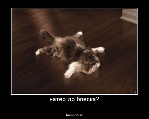 натер до блеска?