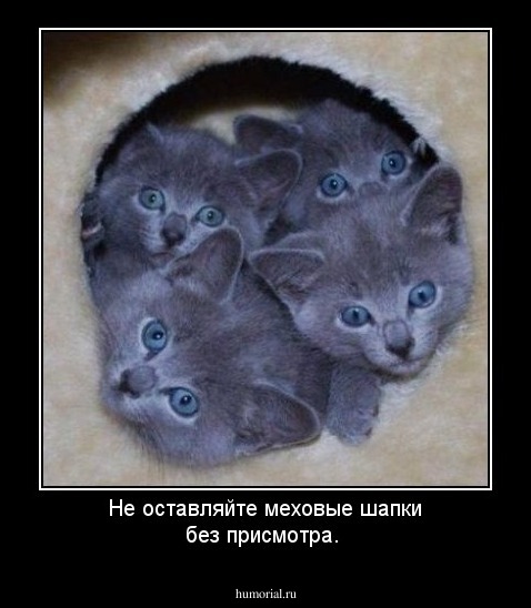 Не оставляйте меховые шапки без присмотра.