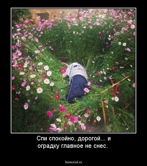 Спи спокойно,  дорогой... и оградку главное не снес. 