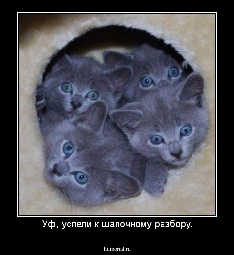 Уф, успели к шапочному разбору.