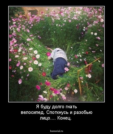 Я буду долго гнать велосипед. Споткнусь и разобью лицо.... Конец.