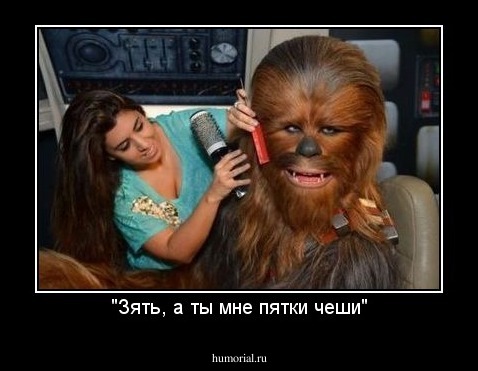 "Зять, а ты мне пятки чеши"