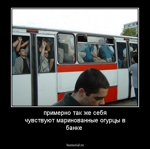 примерно так же себя чувствуют маринованные огурцы в банке 