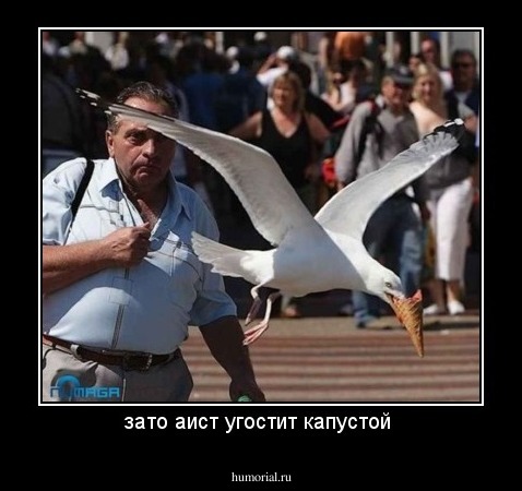 зато аист угостит капустой 