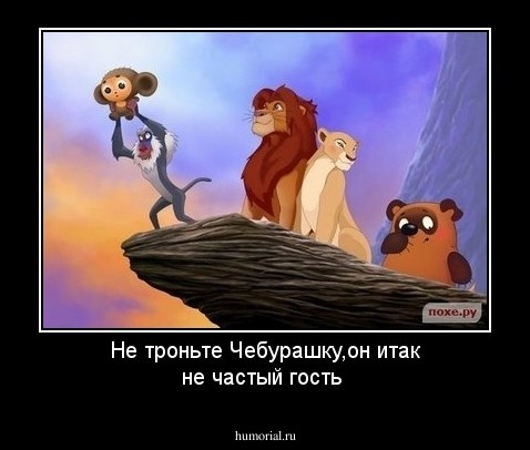 Не троньте Чебурашку,он итак не частый гость