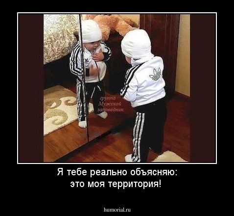Я тебе реально объясняю: это моя территория!