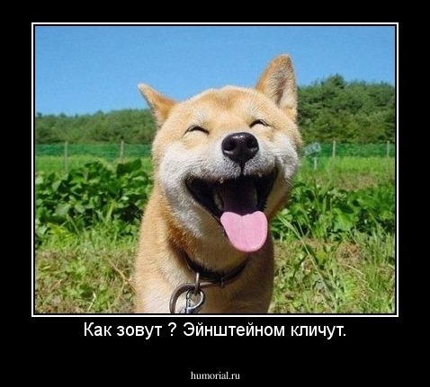 Как зовут ? Эйнштейном кличут.