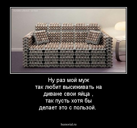 Ну раз мой муж так любит высиживать на диване свои яйца , так пусть хотя бы делает это с пользой.