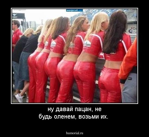 ну давай пацан, не будь оленем, возьми их.