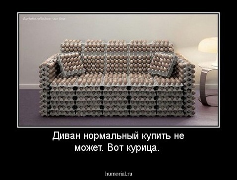Диван нормальный купить не может. Вот курица.
