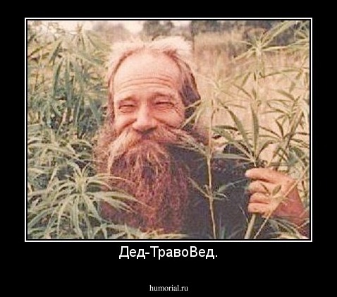 Дед-ТравоВед.