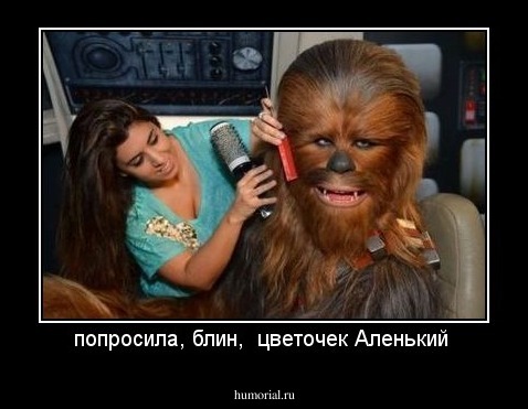 попросила, блин,  цветочек Аленький 