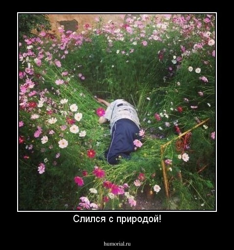 Слился с природой!