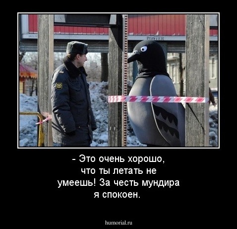 - Это очень хорошо, что ты летать не умеешь! За честь мундира я спокоен.