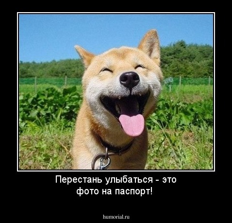 Перестань улыбаться - это фото на паспорт!