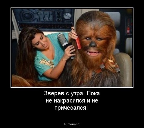 Зверев с утра! Пока не накрасился и не причесался!