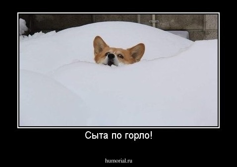 Сыта по горло!