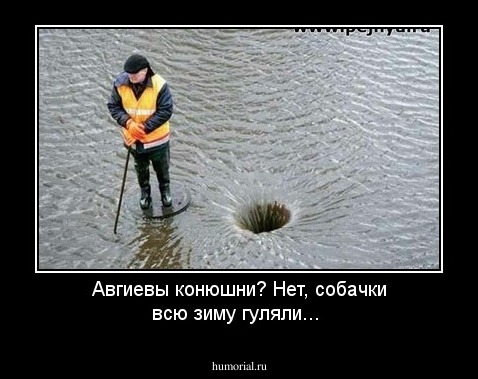 Авгиевы конюшни? Нет, собачки всю зиму гуляли...