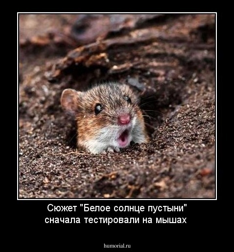 Сюжет "Белое солнце пустыни" сначала тестировали на мышах 