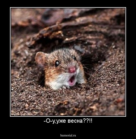 -О-у,уже весна??!!