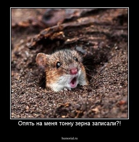 Опять на меня тонну зерна записали?!