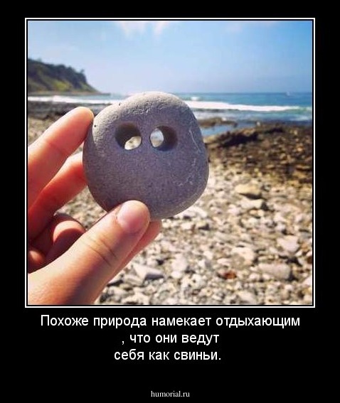 Похоже природа намекает отдыхающим , что они ведут себя как свиньи.