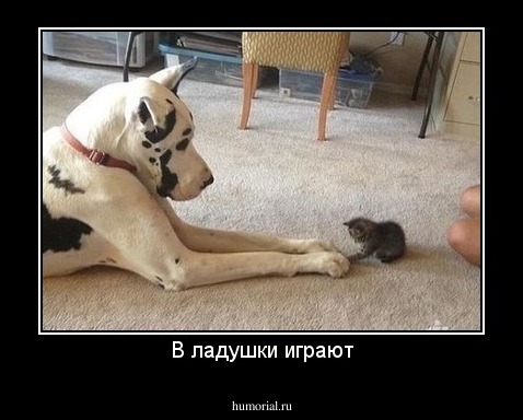 В ладушки играют