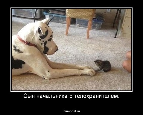 Сын начальника с телохранителем.