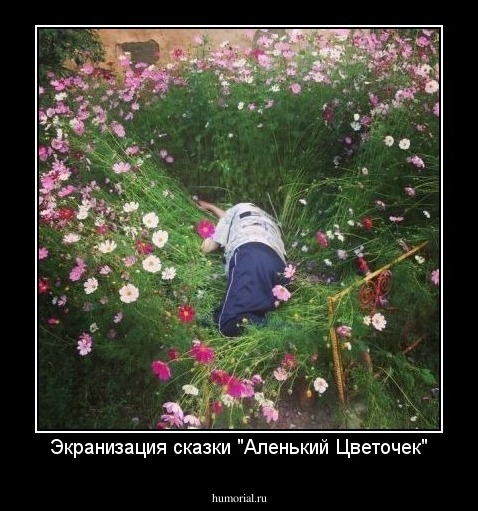 Экранизация сказки "Аленький Цветочек"