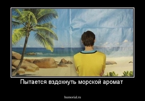 Пытается вздохнуть морской аромат 