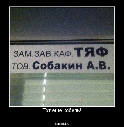 Тот ещё кобель!