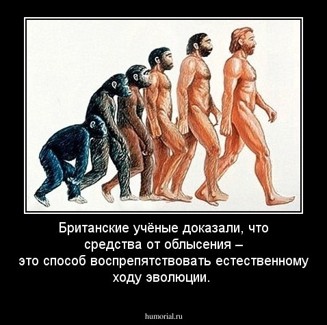 Британские учёные доказали, что средства от облысения – это способ воспрепятствовать естественному ходу эволюции.