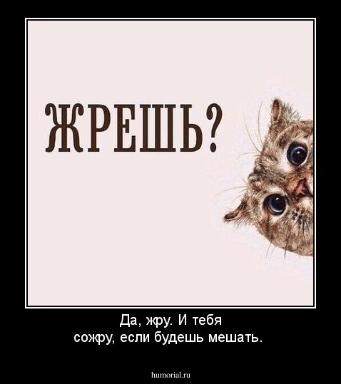 Да, жру. И тебя сожру, если будешь мешать.
