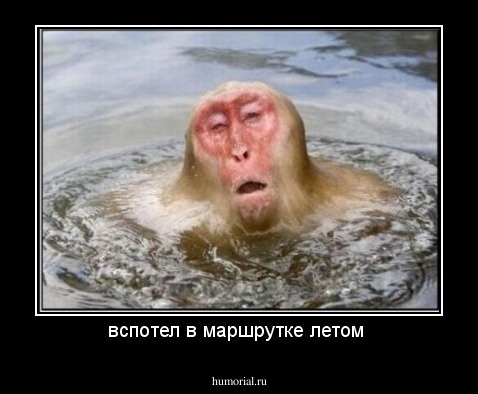 вспотел в маршрутке летом 