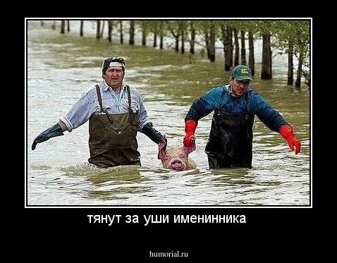 тянут за уши именинника 