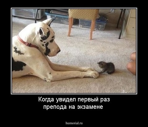 Когда увидел первый раз препода на экзамене