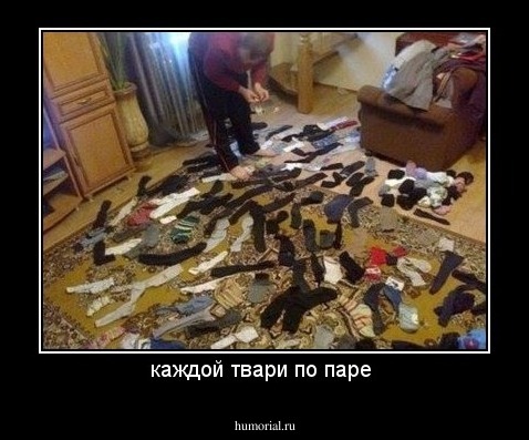 каждой твари по паре 