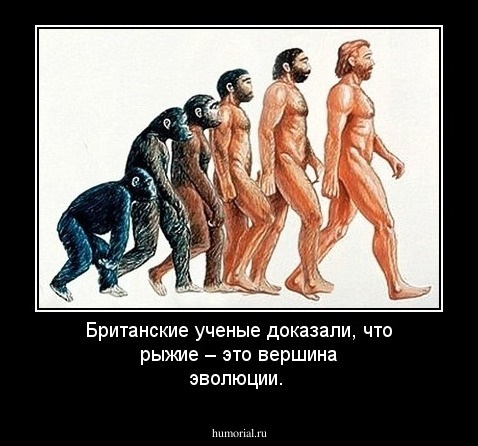 Британские ученые доказали, что рыжие – это вершина эволюции.