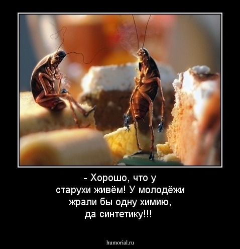 - Хорошо, что у старухи живём! У молодёжи жрали бы одну химию, да синтетику!!!