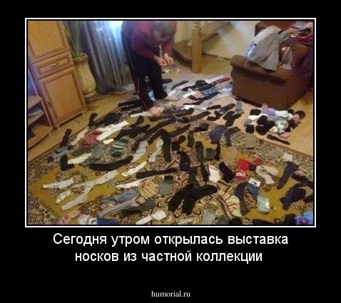 Сегодня утром открылась выставка носков из частной коллекции